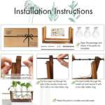 Plant Terrarium - Image 3