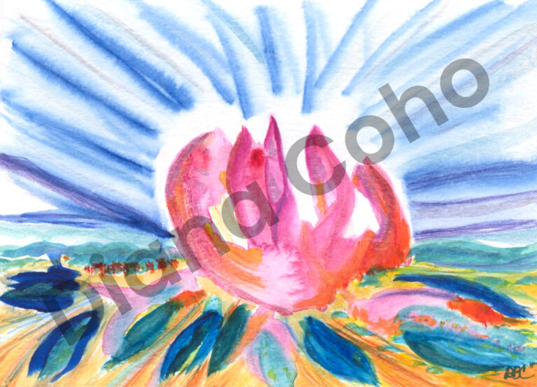 Morning_Lotus_DIANA (1)